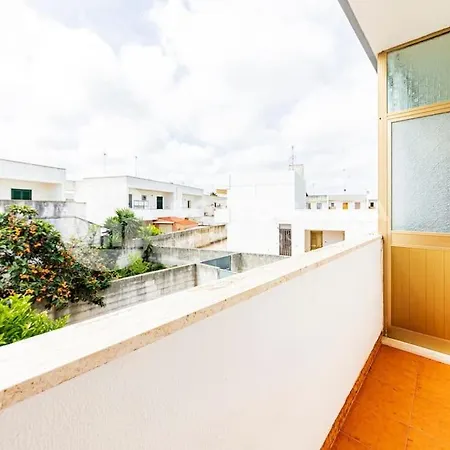 Lily Flat - * San Foca